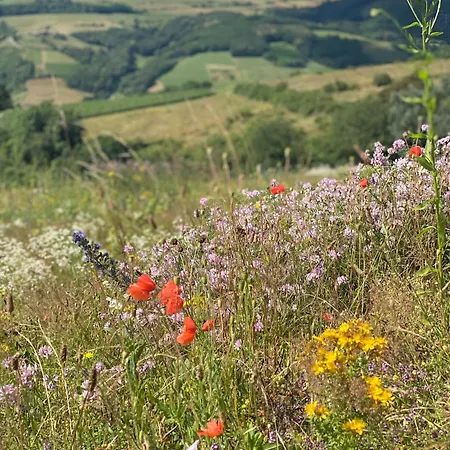 La Belle Etape
